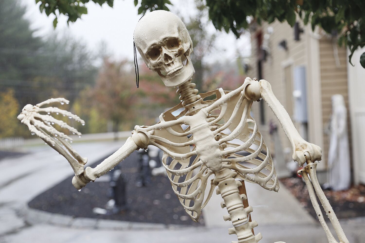 10-25-21 Spooky Decor Dunkin' skeleton tight